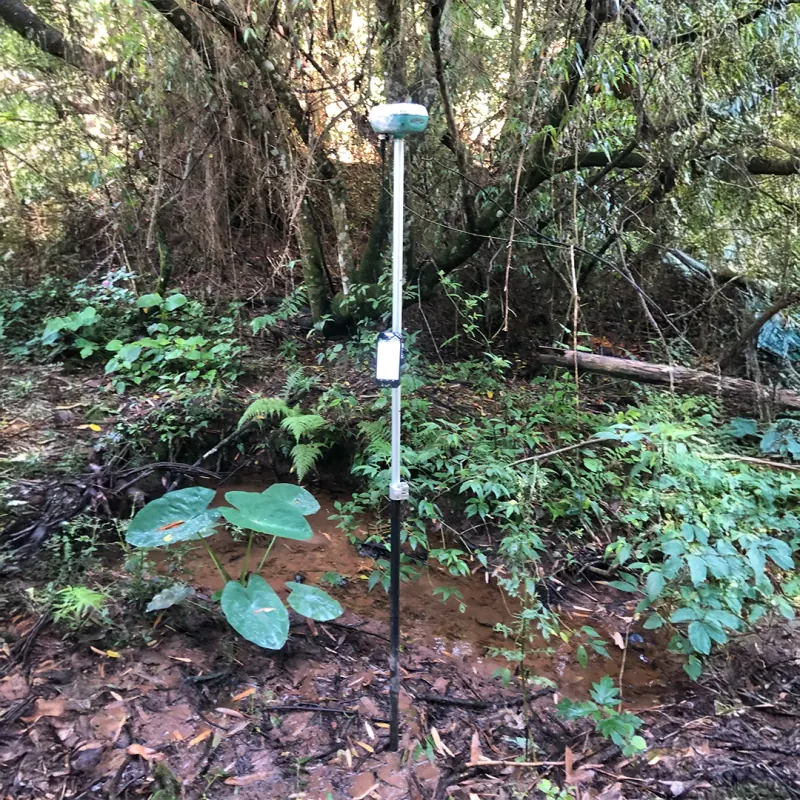 Trabalho de topografia em área de mata